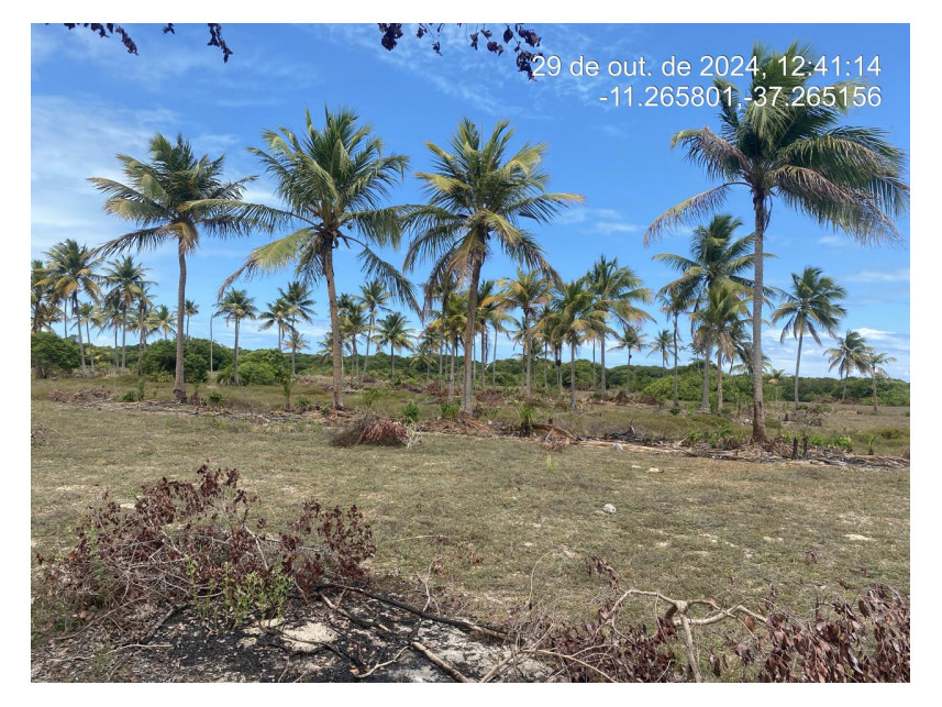 Imagem 1 do Leilão de Terreno - Loteamento Vila Rica do Abais - Itaporanga d'Ajuda/SE