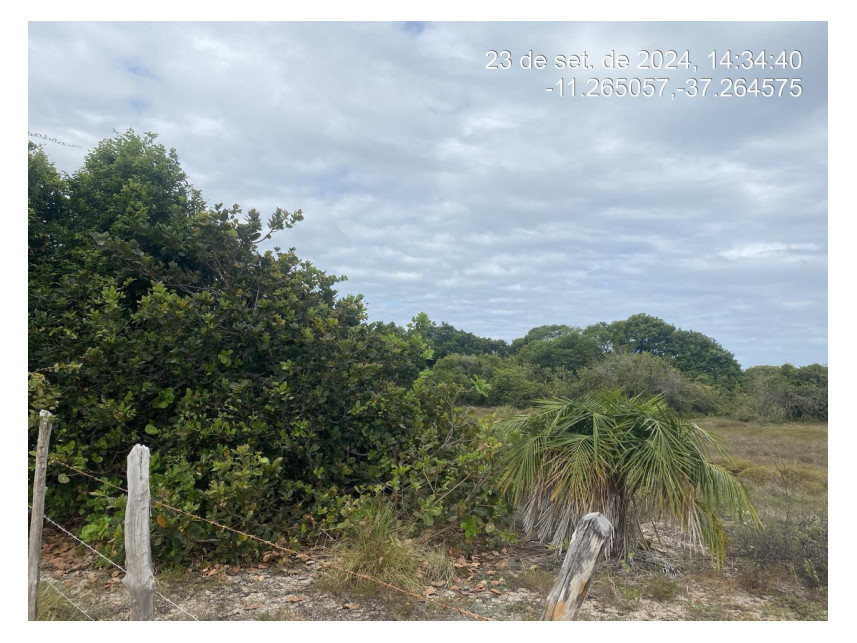 Imagem 1 do Leilão de Terreno - Loteamento Vila Rica do Abais - Itaporanga d'Ajuda/SE