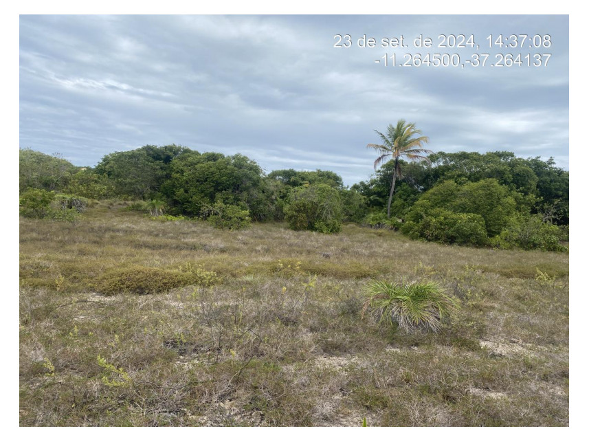 Imagem 1 do Leilão de Terreno - Loteamento Vila Rica do Abais - Itaporanga d'Ajuda/SE