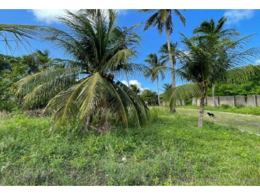 Imagem 3 do Leilão de Casas - Carnaubinha - Paracuru/CE