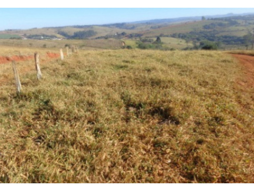 Imagem 8 do Leilão de Área Rural - Zona Rural - Monte Belo/MG