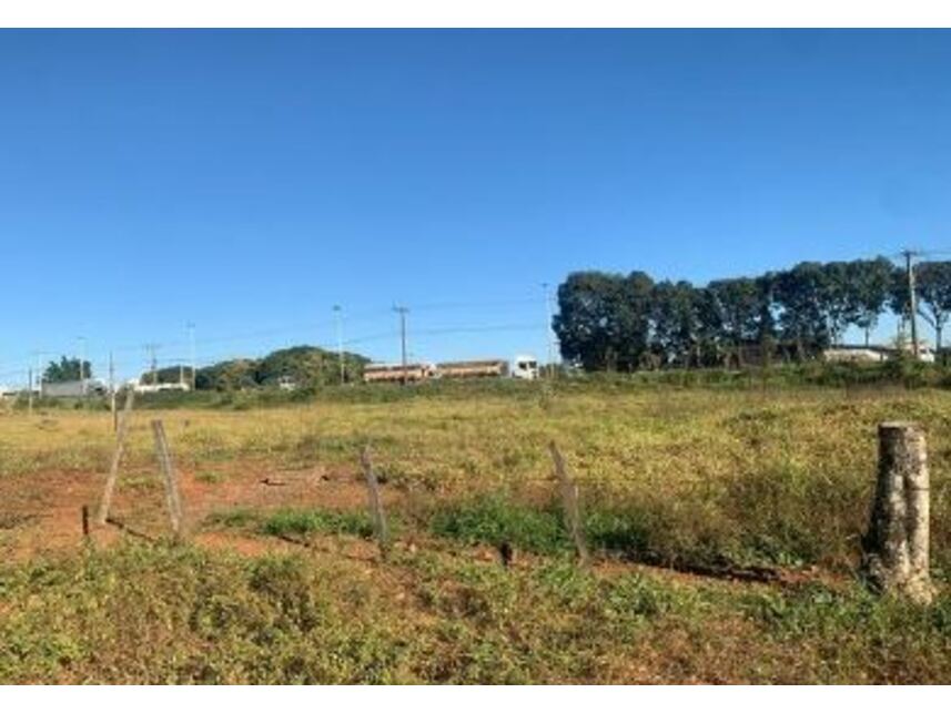Imagem 9 do Leilão de Terreno - Jardim Novo Mundo - Goiânia/GO