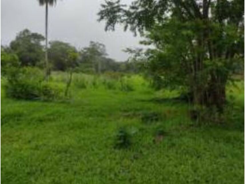 Imagem 22 do Leilão de Terrenos - Chácaras Saia Velha - Cidade Ocidental/GO