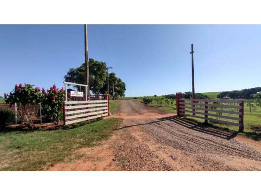 Imagem 7 do Leilão de Área Rural - Gleba Pau Dalho - São João do Pau d'Alho/SP