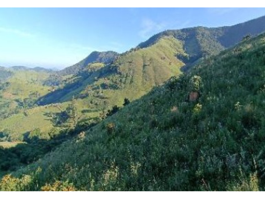 Imagem 4 do Leilão de Área Rural - Zona Rural - Baependi/MG