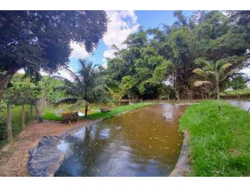 Rodovia Estadual SP-304, s/n, Estiva, Novo Horizonte, SP