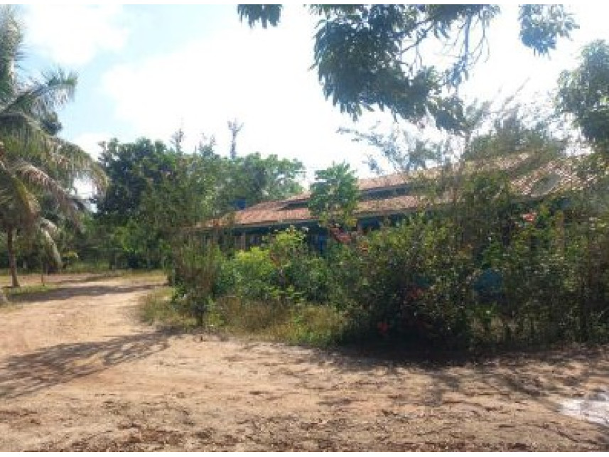 Imagem 6 do Leilão de Área Rural - Zona Rural - Moju/PA