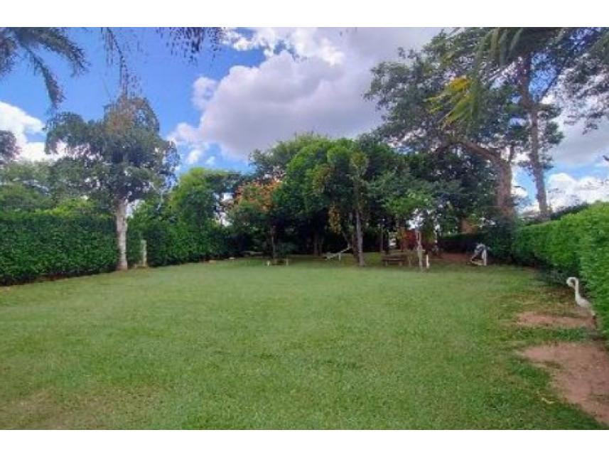 Imagem 6 do Leilão de Chácara - Estiva - Novo Horizonte/SP