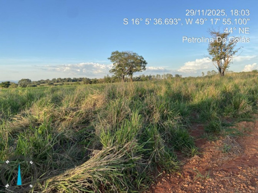 Imagem 6 do Leilão de Terreno - Condomínio das Orquídeas - Petrolina de Goiás/GO