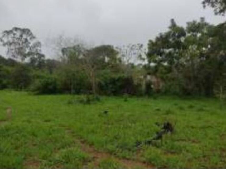 Imagem 19 do Leilão de Terrenos - Chácaras Saia Velha - Cidade Ocidental/GO