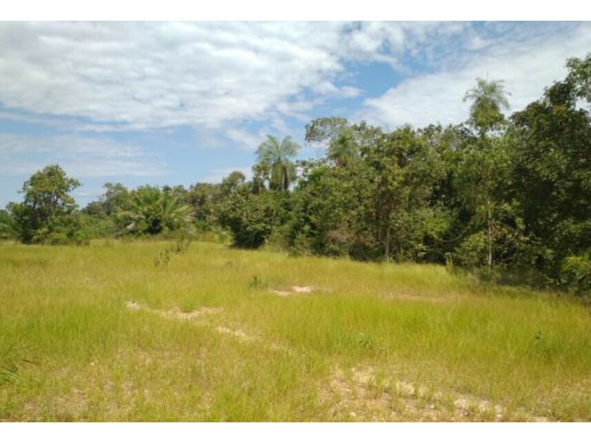 Imagem 2 do Leilão de Fazenda - Zona Rural - Miranda/MS