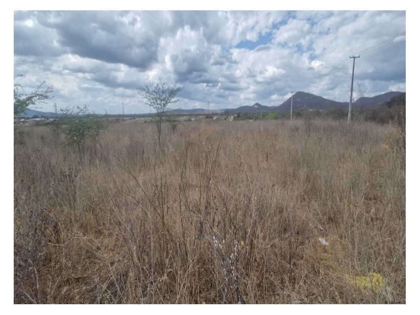 Terreno à venda em leilão