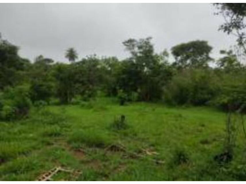 Imagem 9 do Leilão de Terrenos - Chácaras Saia Velha - Cidade Ocidental/GO