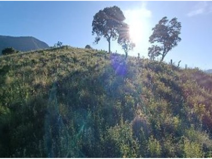 Imagem 1 do Leilão de Área Rural - Zona Rural - Baependi/MG
