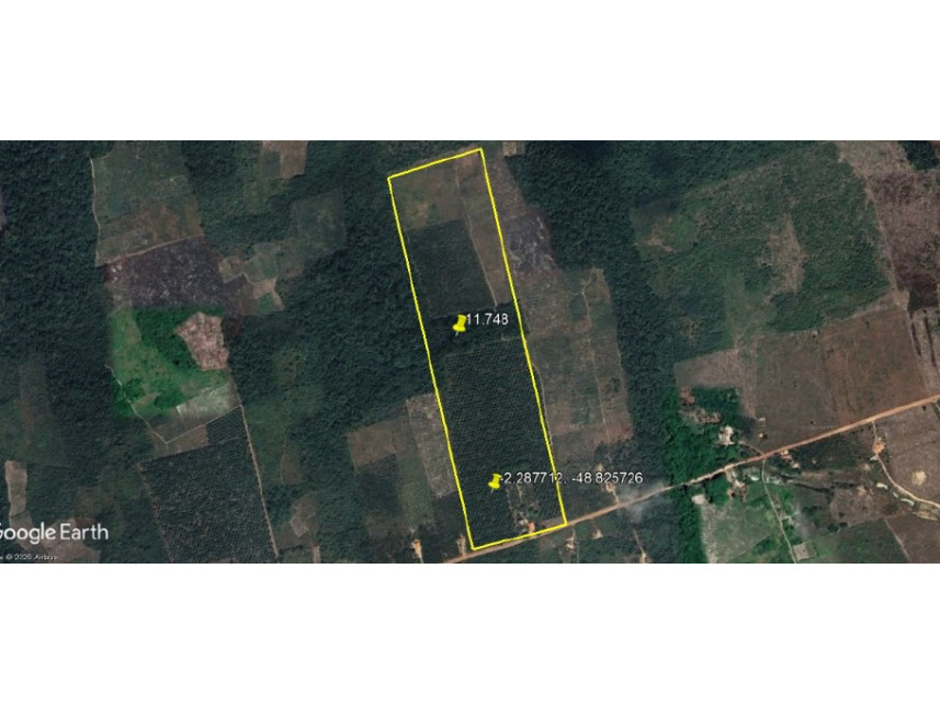 Imagem 5 do Leilão de Área Rural - Zona Rural - Moju/PA