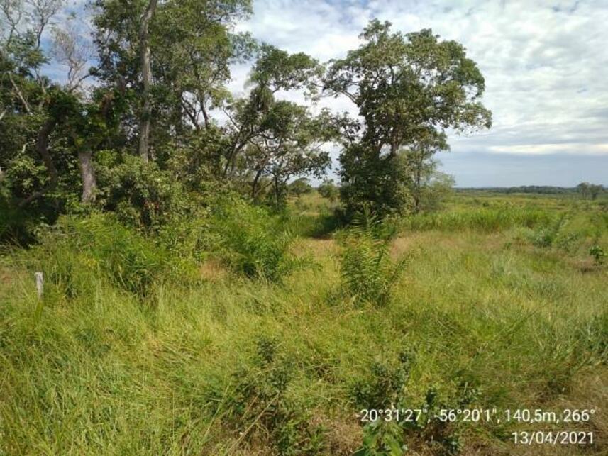 Imagem 8 do Leilão de Fazenda - Zona Rural - Miranda/MS