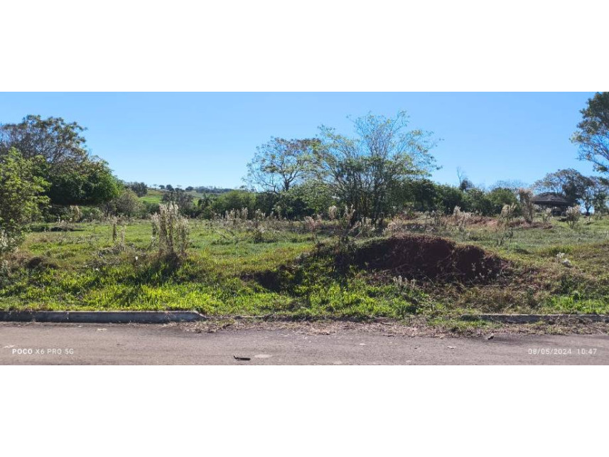 Imagem 13 do Leilão de Terreno - Parque Residencial Viva - Pérola/PR