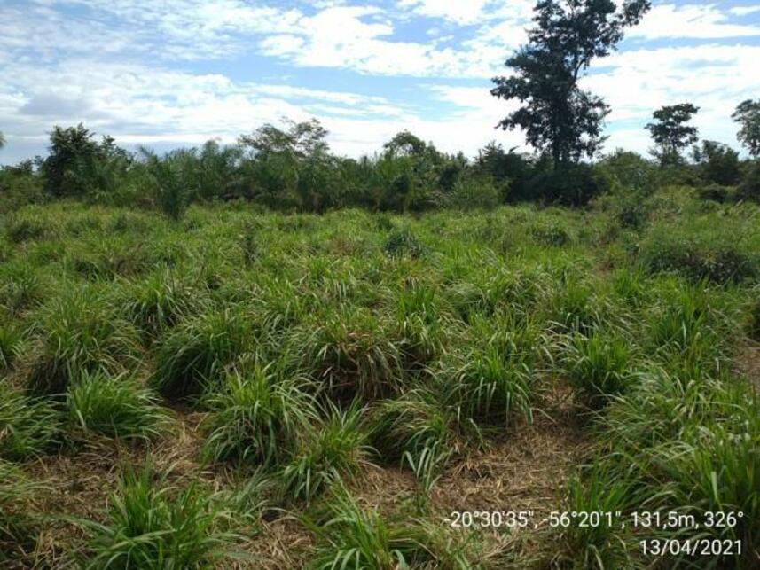Imagem 21 do Leilão de Fazenda - Zona Rural - Miranda/MS