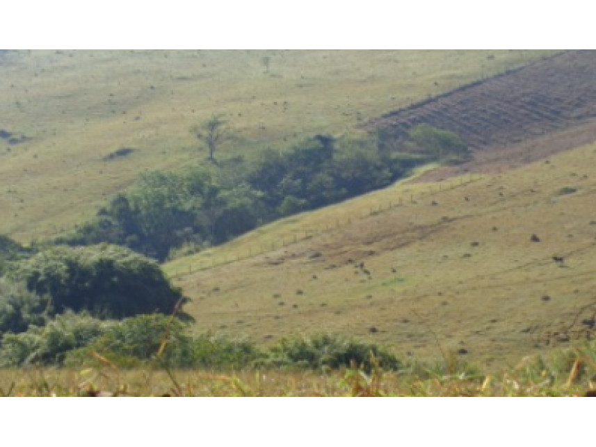 Imagem 7 do Leilão de Área Rural - Zona Rural - Monte Belo/MG