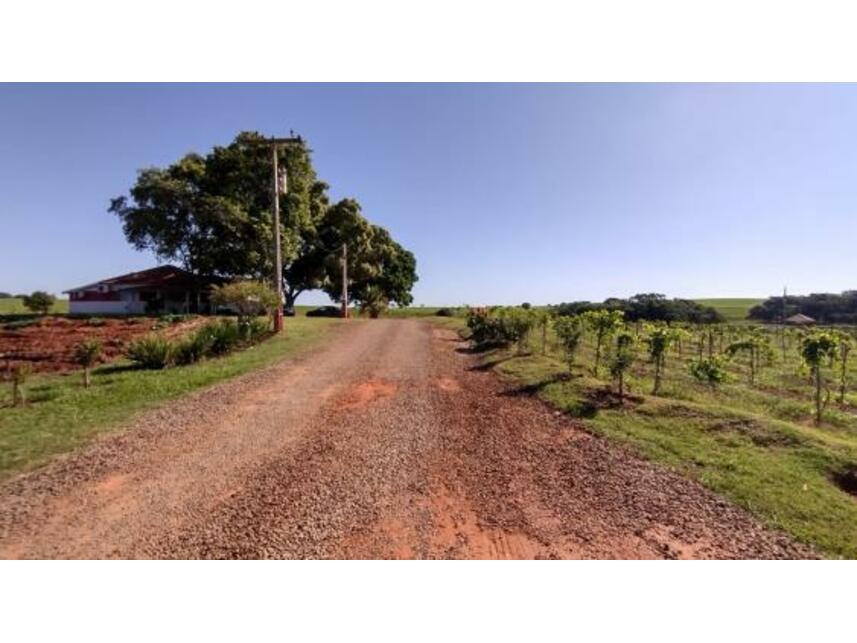 Imagem 8 do Leilão de Área Rural - Gleba Pau Dalho - São João do Pau d'Alho/SP