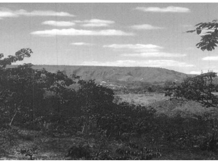 Imagem do Leilão de Área Rural - Canjica - Planaltina/GO