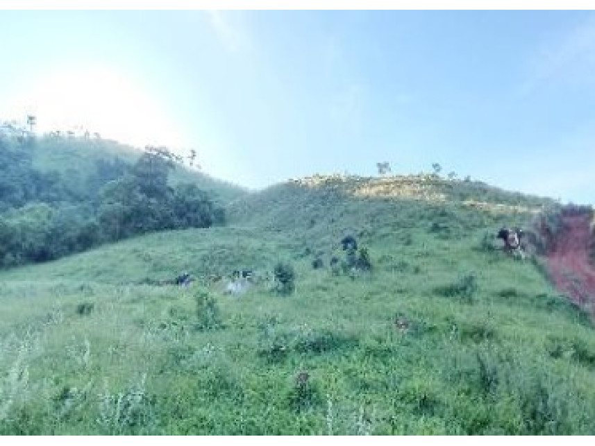 Imagem 2 do Leilão de Área Rural - Zona Rural - Baependi/MG