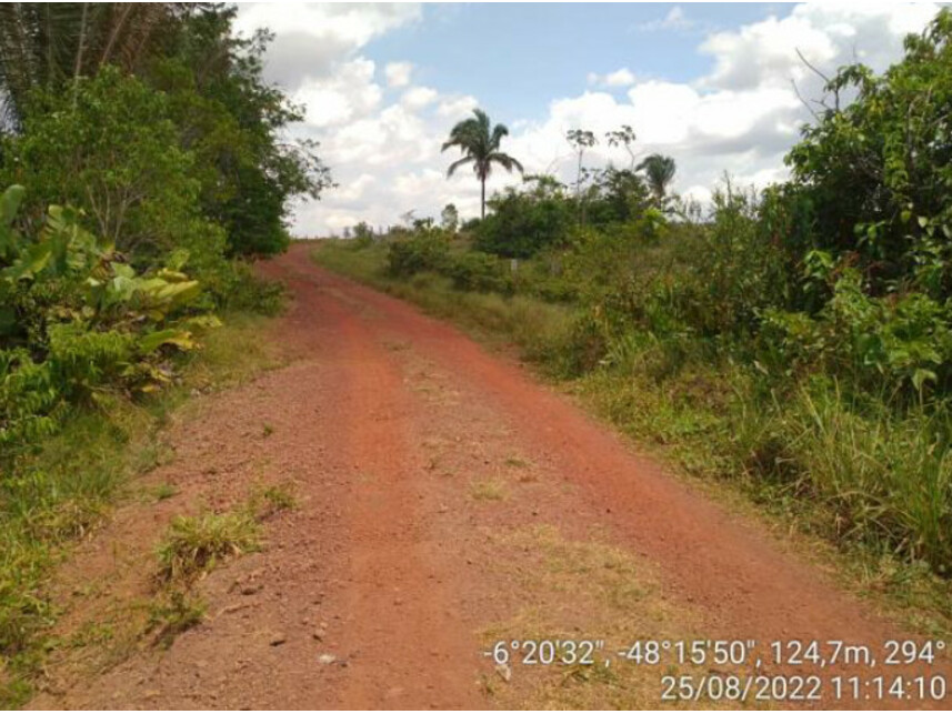 Imagem 3 do Leilão de Área Rural - Zona Rural - Ananás/TO