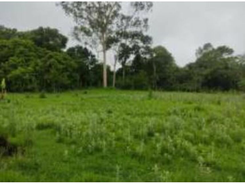 Imagem 5 do Leilão de Terrenos - Chácaras Saia Velha - Cidade Ocidental/GO