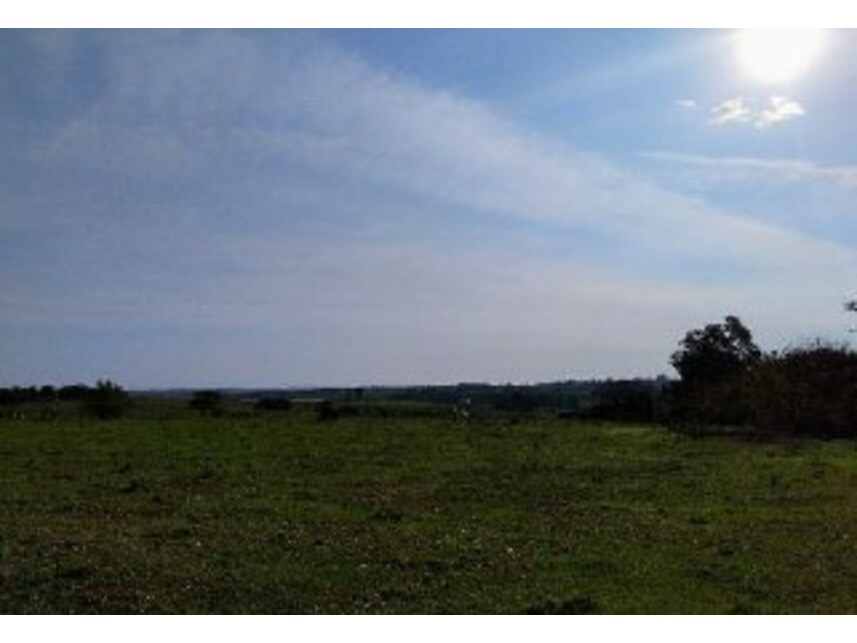 Imagem 10 do Leilão de Terreno - Guaicara - Presidente Bernardes/SP