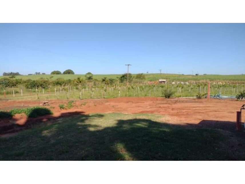 Imagem 19 do Leilão de Área Rural - Gleba Pau Dalho - São João do Pau d'Alho/SP