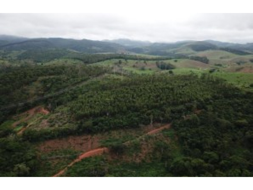 Imagem 3 do Leilão de Fazenda - Zona Rural - Teófilo Otoni/MG