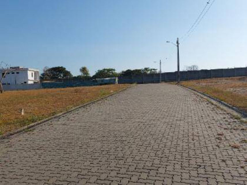 Imagem 7 do Leilão de Terreno - Mangabeira - Eusébio/CE