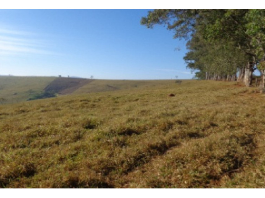 Imagem 5 do Leilão de Área Rural - Zona Rural - Monte Belo/MG