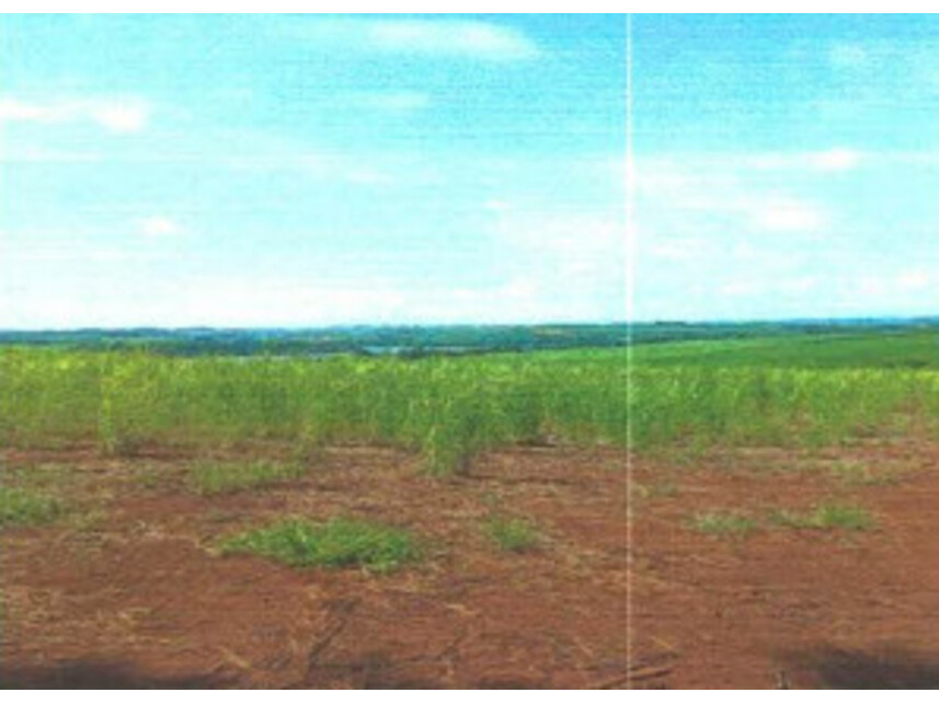 Imagem 3 do Leilão de Terreno - Barra do Ribeirão Pau D'Alho, na Fazenda Pau D'Alho - Palmital/SP