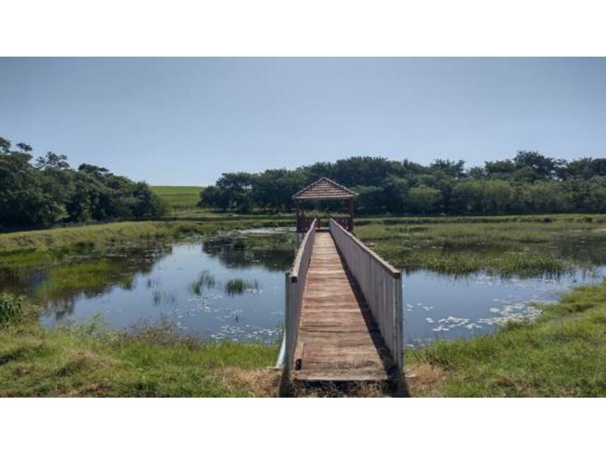 Imagem 13 do Leilão de Área Rural - Gleba Pau Dalho - São João do Pau d'Alho/SP
