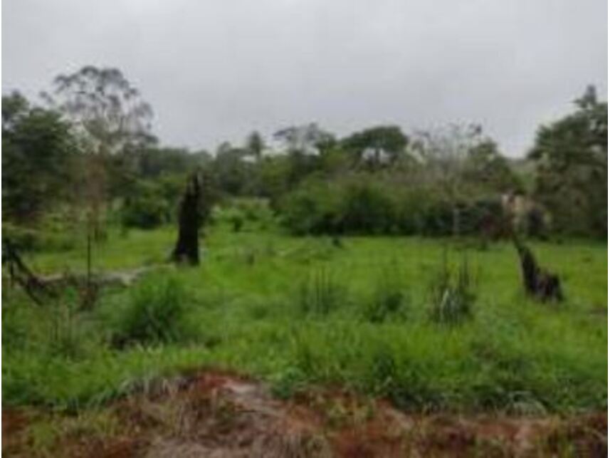 Imagem 14 do Leilão de Terrenos - Chácaras Saia Velha - Cidade Ocidental/GO