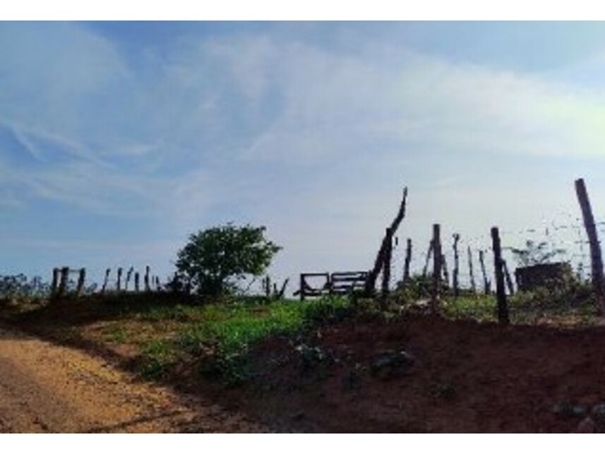 Imagem 4 do Leilão de Terreno - Guaicara - Presidente Bernardes/SP