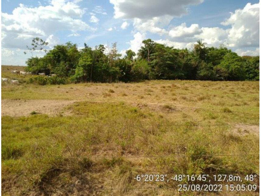 Imagem 4 do Leilão de Área Rural - Zona Rural - Ananás/TO