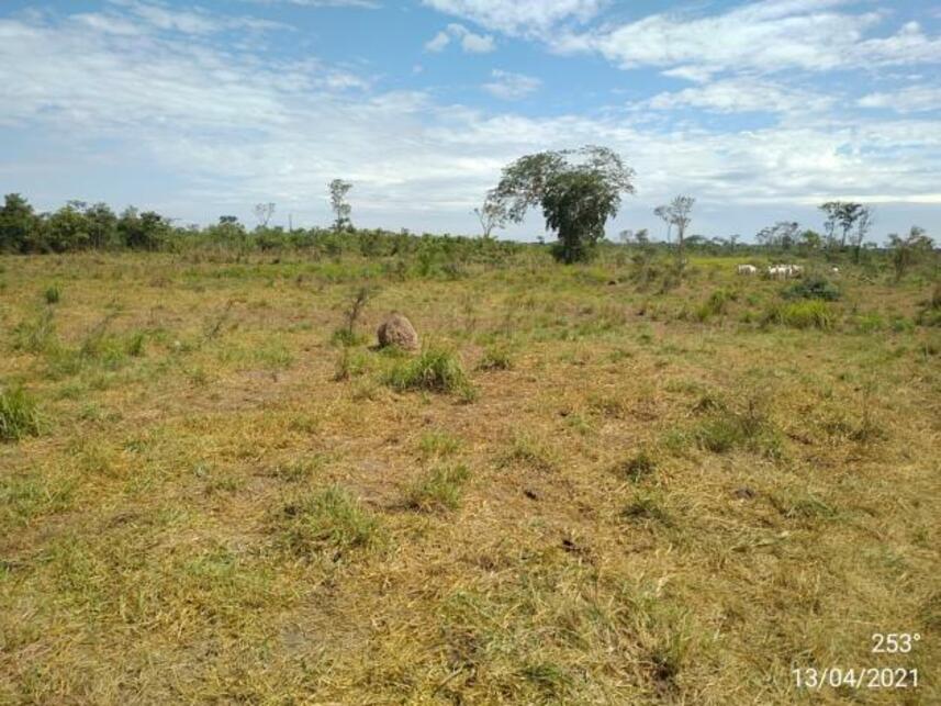 Imagem 24 do Leilão de Fazenda - Zona Rural - Miranda/MS