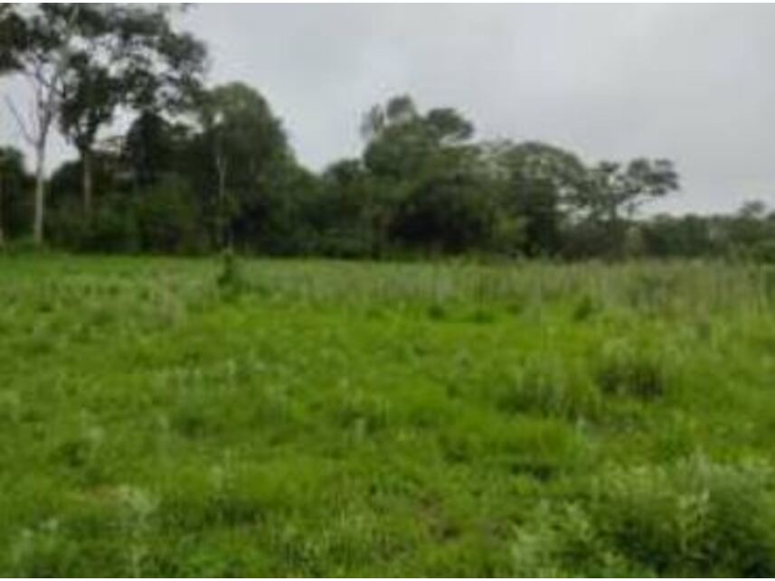 Imagem 3 do Leilão de Terrenos - Chácaras Saia Velha - Cidade Ocidental/GO
