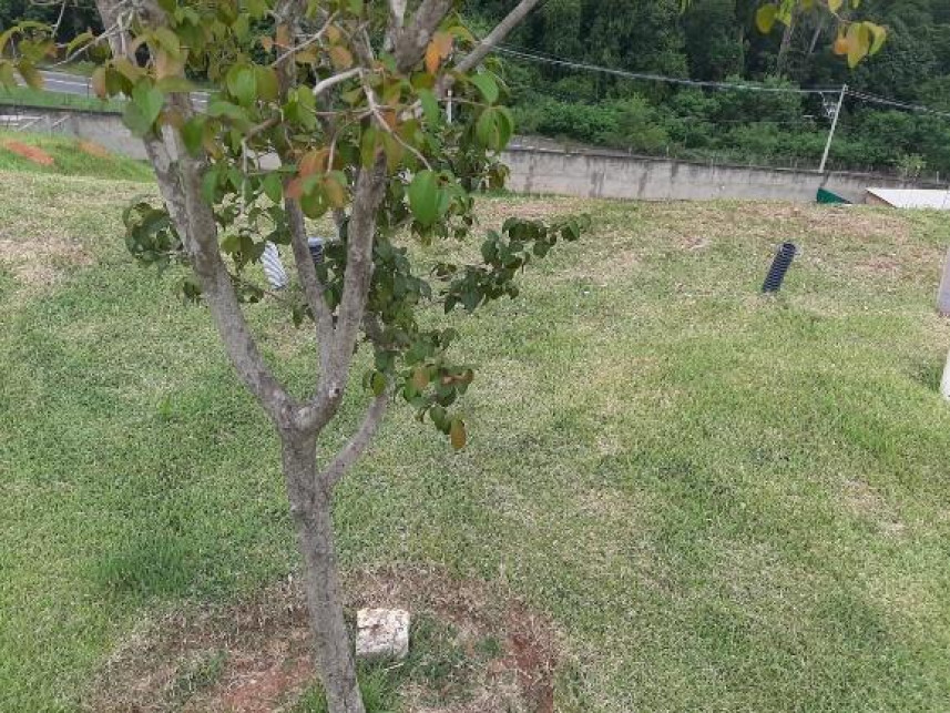 Imagem 6 do Leilão de Terreno - Residencial Jatibela - Campinas/SP