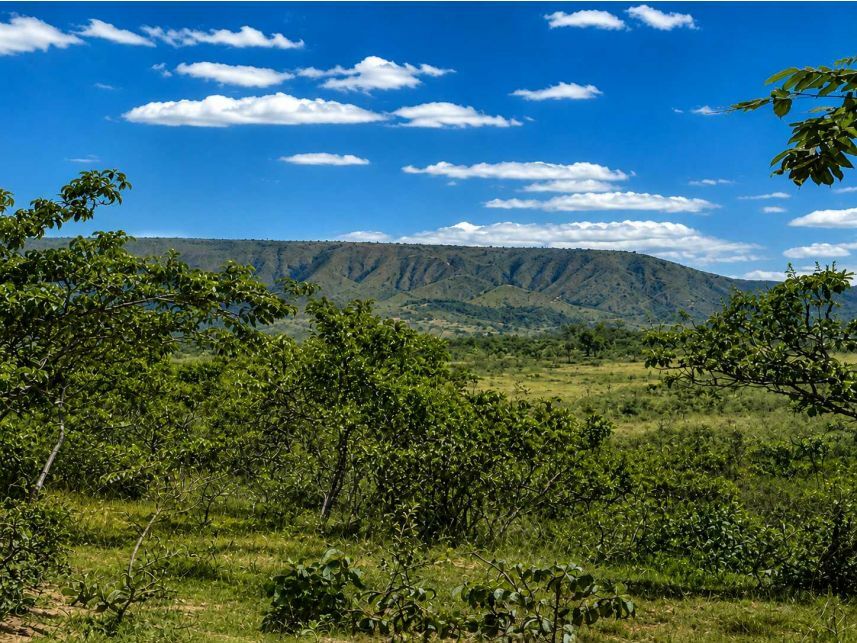 Área Rural - Planaltina / GO - Canjica Rodovia DF 02 km 10, s/n