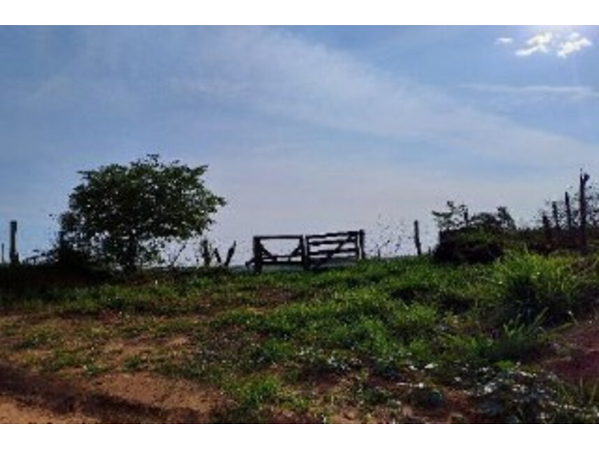 Imagem 5 do Leilão de Terreno - Guaicara - Presidente Bernardes/SP