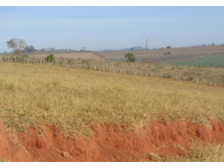 Imagem 4 do Leilão de Área Rural - Zona Rural - Monte Belo/MG