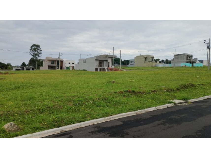 Imagem 4 do Leilão de Terreno - Colônia Dona Luíza - Ponta Grossa/PR