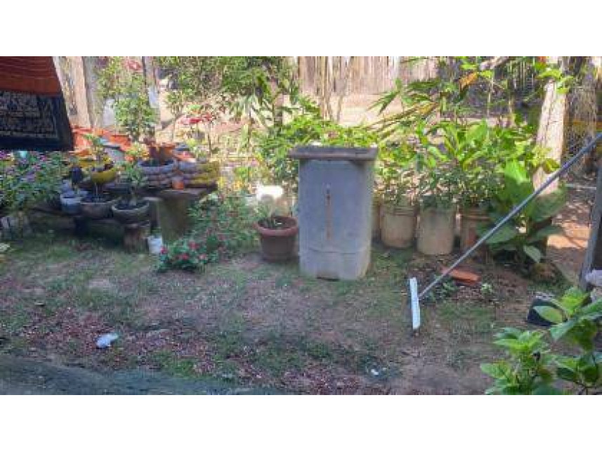 Imagem 8 do Leilão de Casa - Centro - Campos Lindos/TO