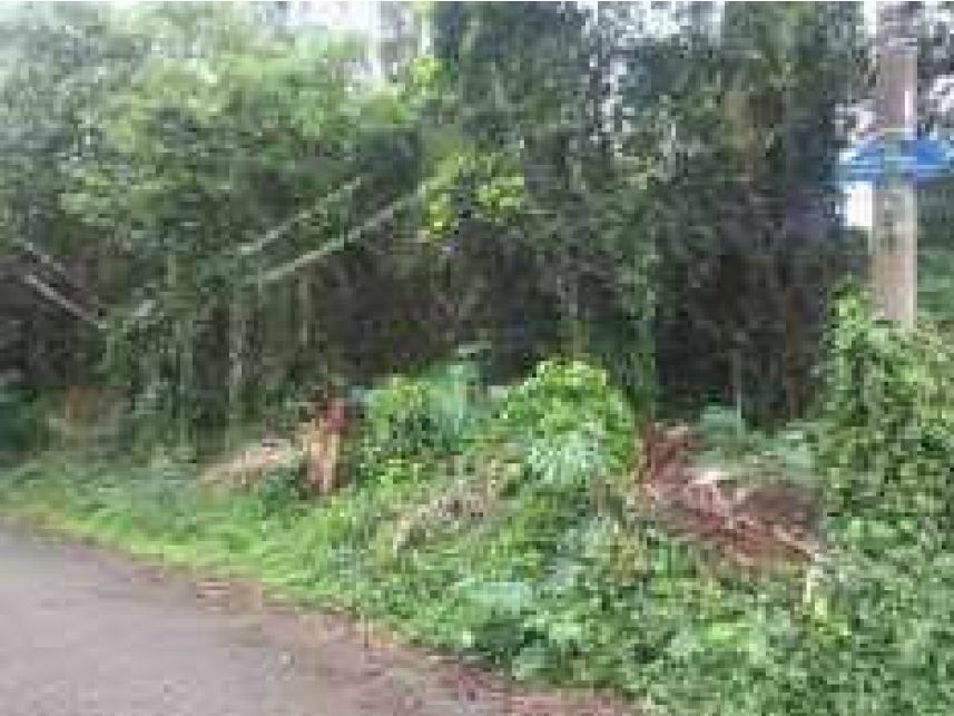 Imagem 1 do Leilão de Terreno - Sete Praias - São Paulo/SP