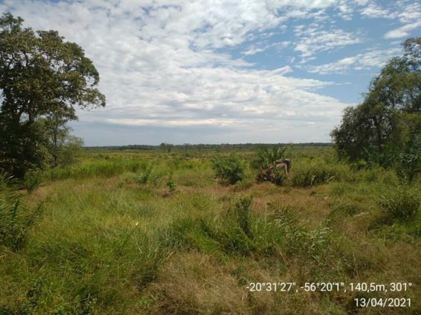 Imagem 9 do Leilão de Fazenda - Zona Rural - Miranda/MS