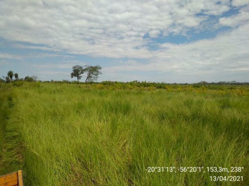 Imagem 13 do Leilão de Fazenda - Zona Rural - Miranda/MS