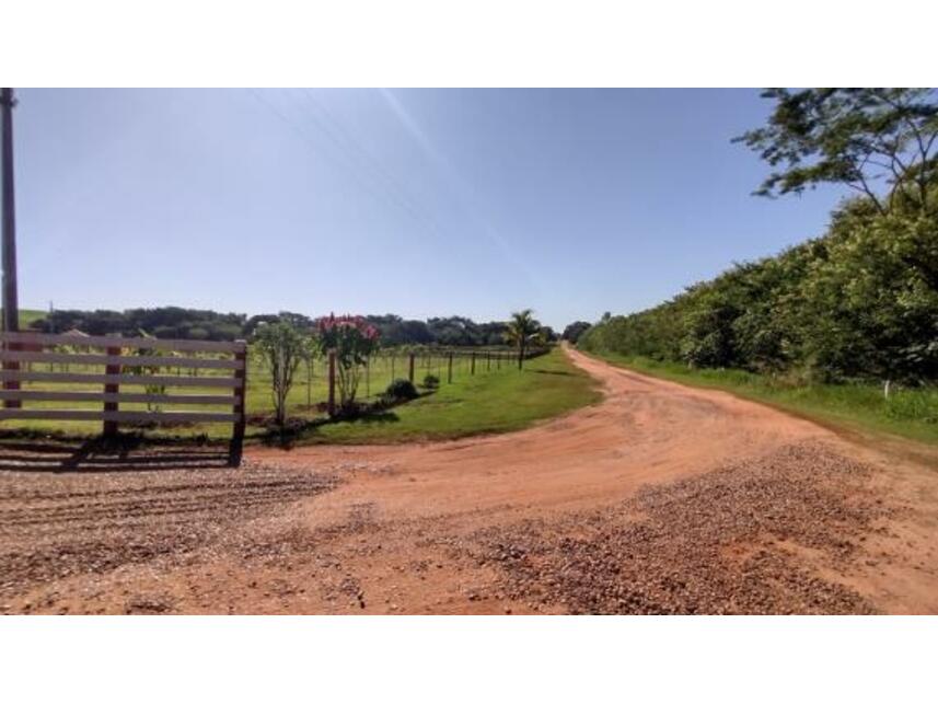 Imagem 5 do Leilão de Área Rural - Gleba Pau Dalho - São João do Pau d'Alho/SP